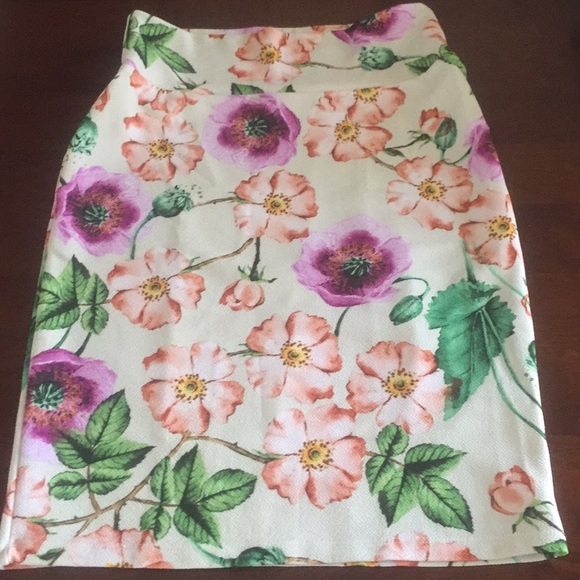 LuLaRoe Dresses & Skirts - LuLaRoe Cassie Skirt (S)